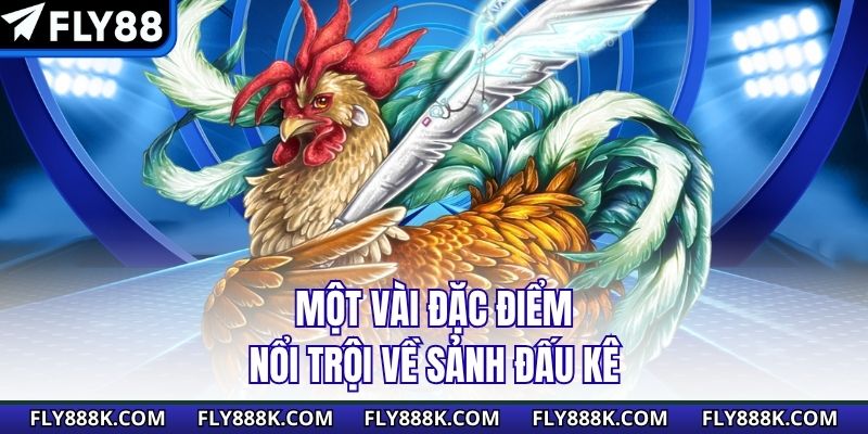 Một vài đặc điểm nổi trội về sảnh đấu kê